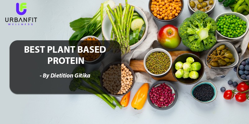 BEST PLANT BASED PROTEIN